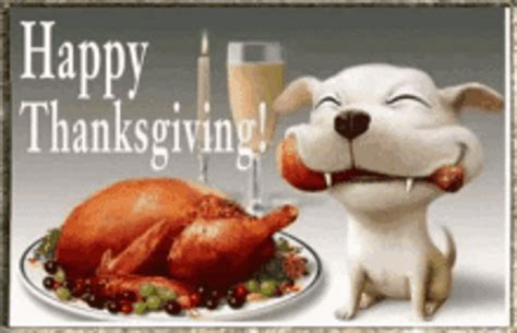 happy thanksgiving funny gif|happy thanksgiving symbols animated pictures.